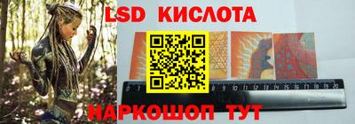 спайс Кандалакша
