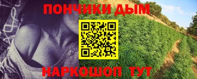 гидропоника Ипатово