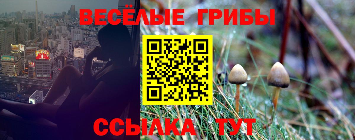 Ленинск-Кузнецкий  Псилоцибиновые грибы прущие грибы  Вход с VPN 