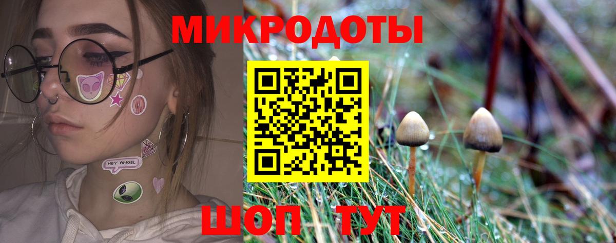 Псилоцибиновые грибы прущие грибы Ленинск-Кузнецкий